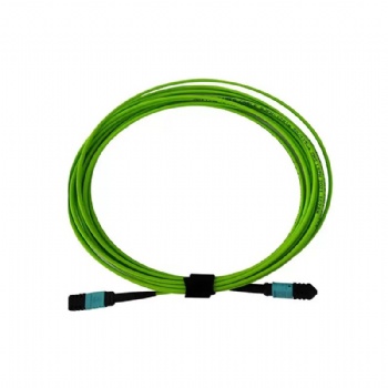 MPO-OM5- Custom Available